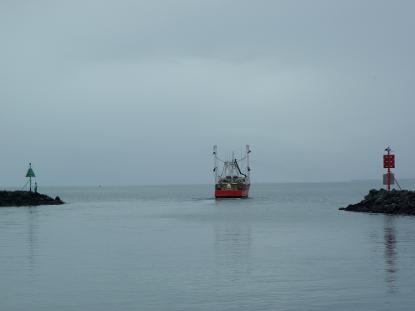 Fore And Aft Surveyors